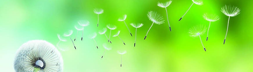 Health, Safety, Environment und Quality
